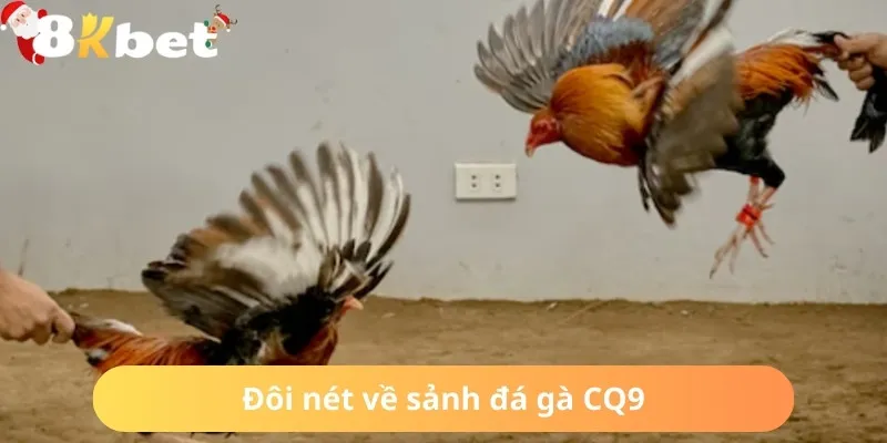 Giới thiệu sảnh đá gà CQ9