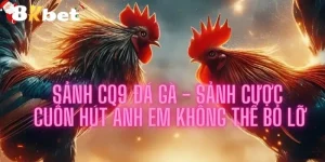 tham gia sảnh đá gà cq9