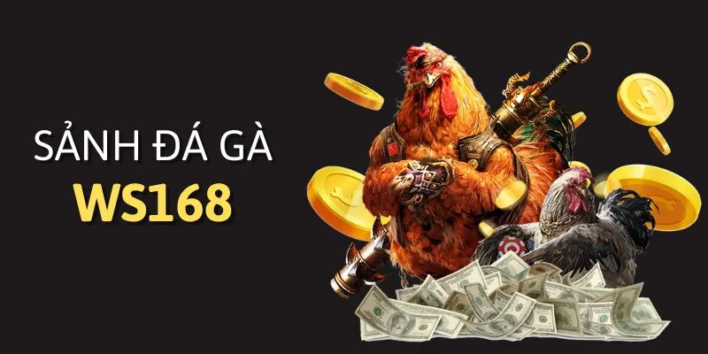 tham gia sảnh đá gà ws168 tại 8kbet